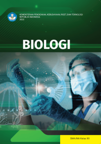 Image of Biologi – Kurikulum Merdeka Kurikulum Penggerak